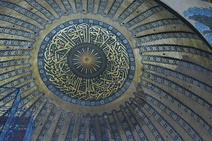 Tiny feet that grow outside the bodies